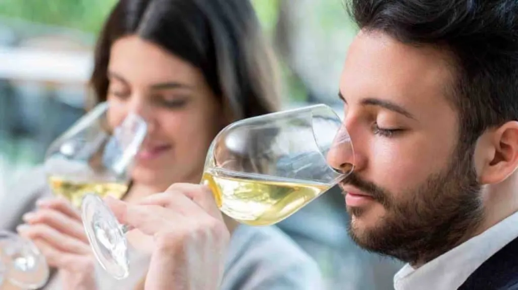 Comment Appelle-t-on une personne qui travaille dans les vignes ?
