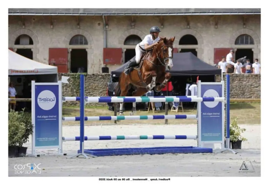 Comment avoir le galop 4 ?