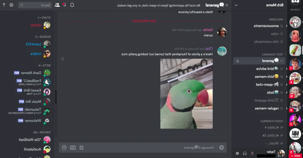 Comment rejoindre un serveur Discord sans lien d'invitation ?
