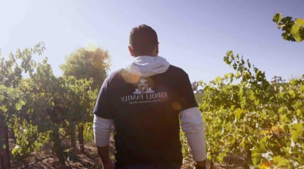 Comment s'inscrire pour faire les vendanges ?