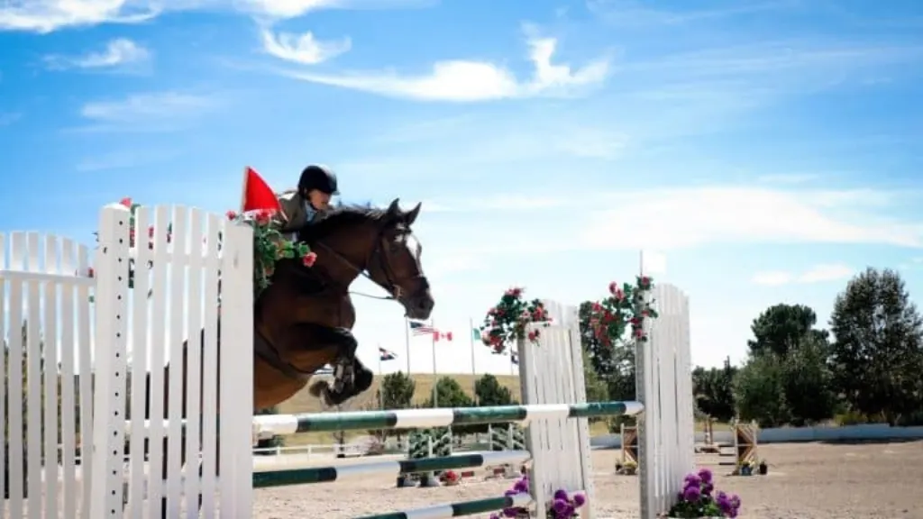 ffecompet, tout savoir l'inscription sur les compétions de chevaux