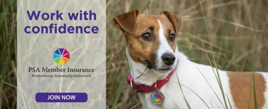 Notre Avis Pourquoi une assurance professionnelle ?
