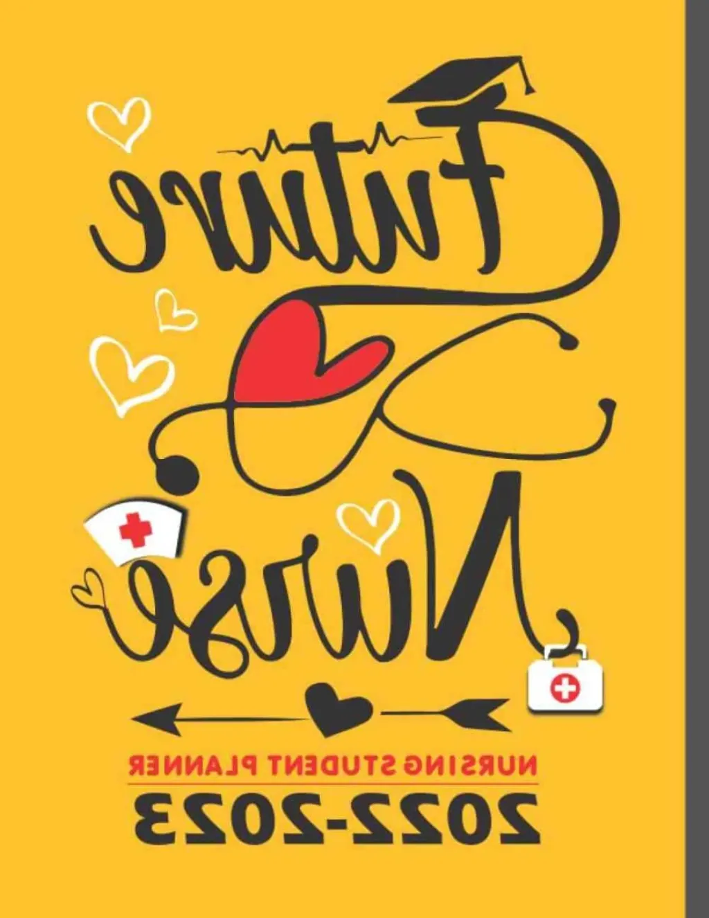 Quel niveau pour entrer en école d'infirmière ?