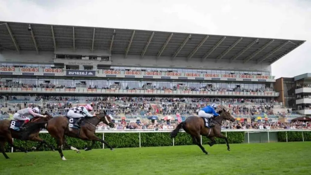 Quelle jambe reculer pour partir au galop ?