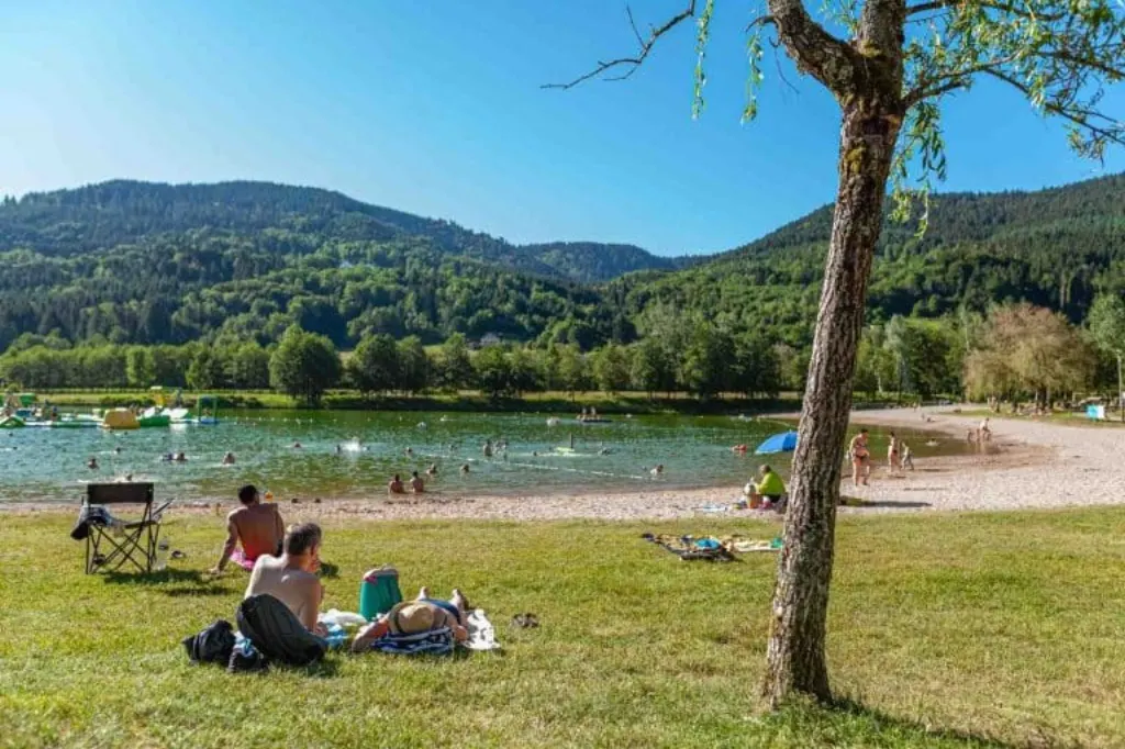 Qui est le signe le plus bête ?