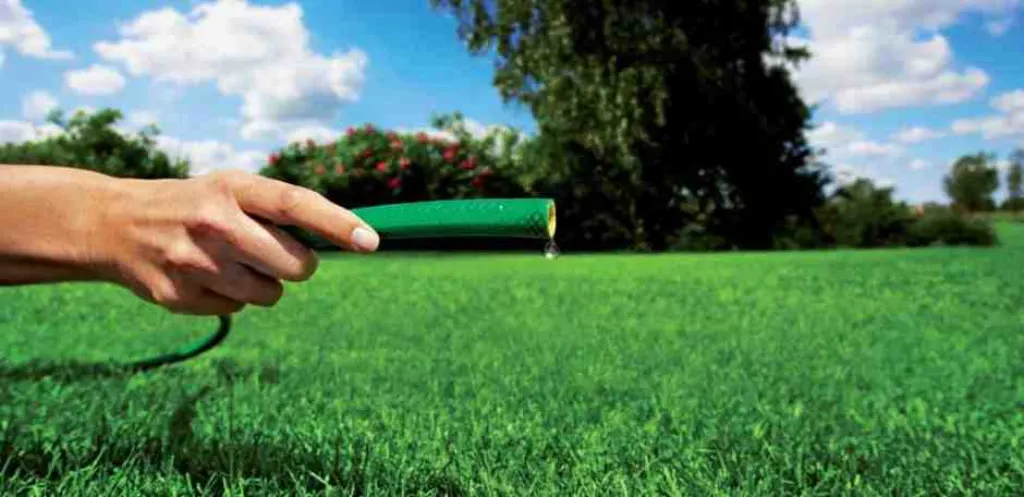 Sécheresse. Football, golf... Quelles sont les règles d'arrosage des pelouses sportives ?