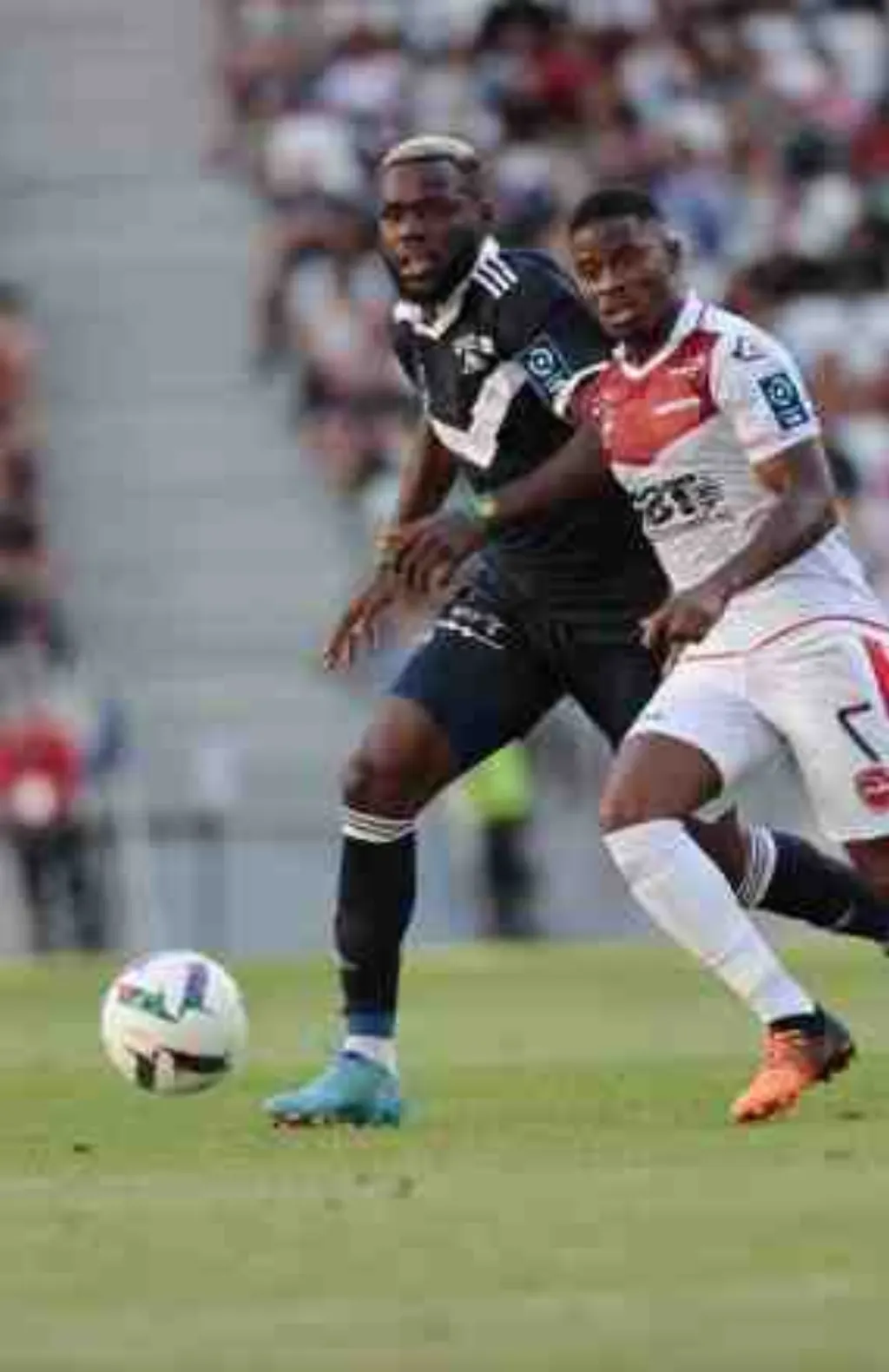 Un mouvement constant