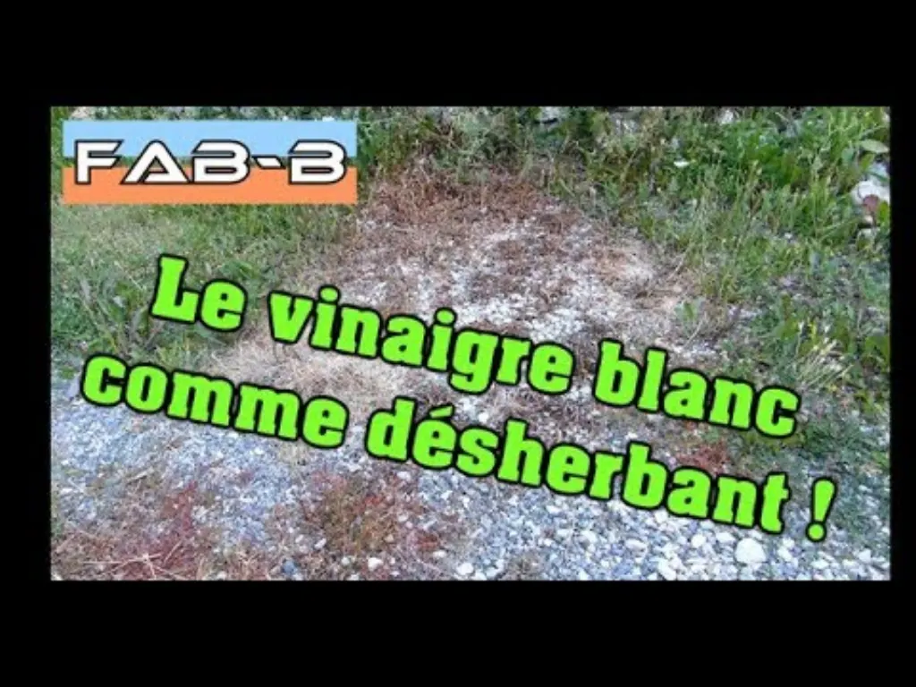 comment désherber définitivement – 10 trucs naturels pour se débarrasser des mauvaises herbes définitivement.