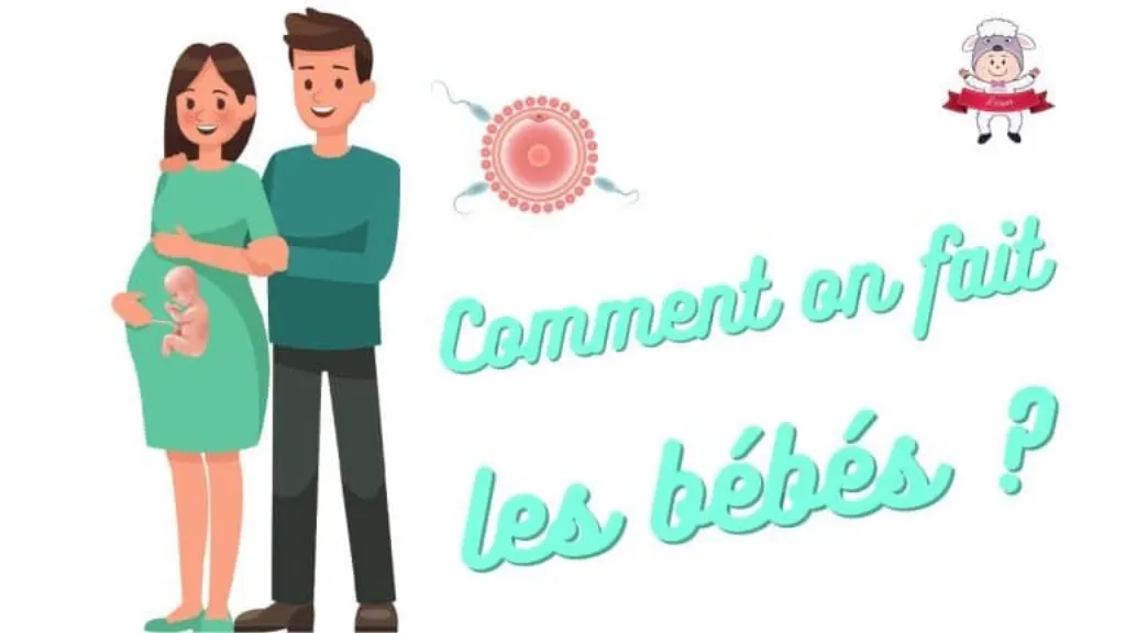 comment faire les bebe