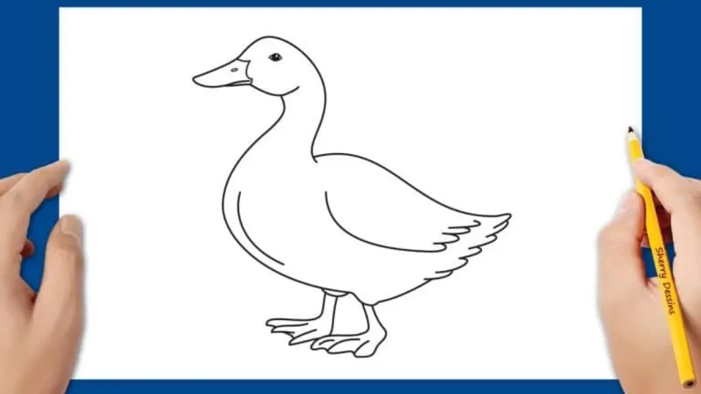 voici une méthode facile pour dessiner un canard, étape par étape | le petit fermier