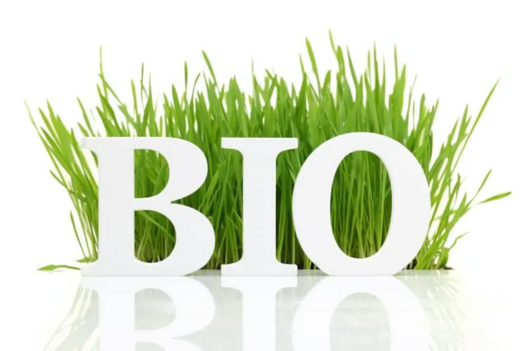 bio