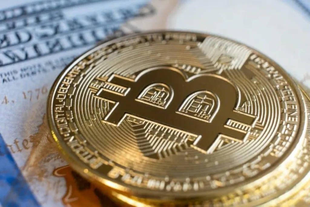cryptomonnaie