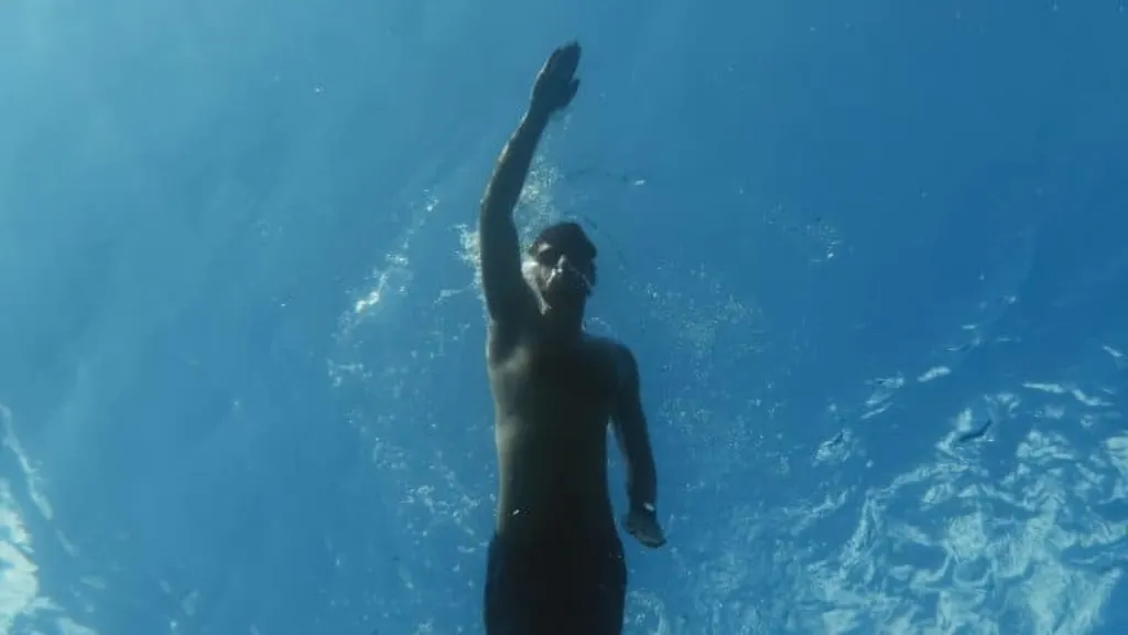 fin freestyle