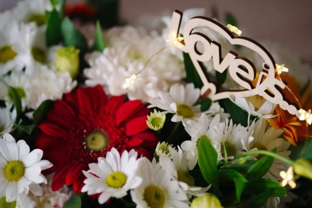 love is