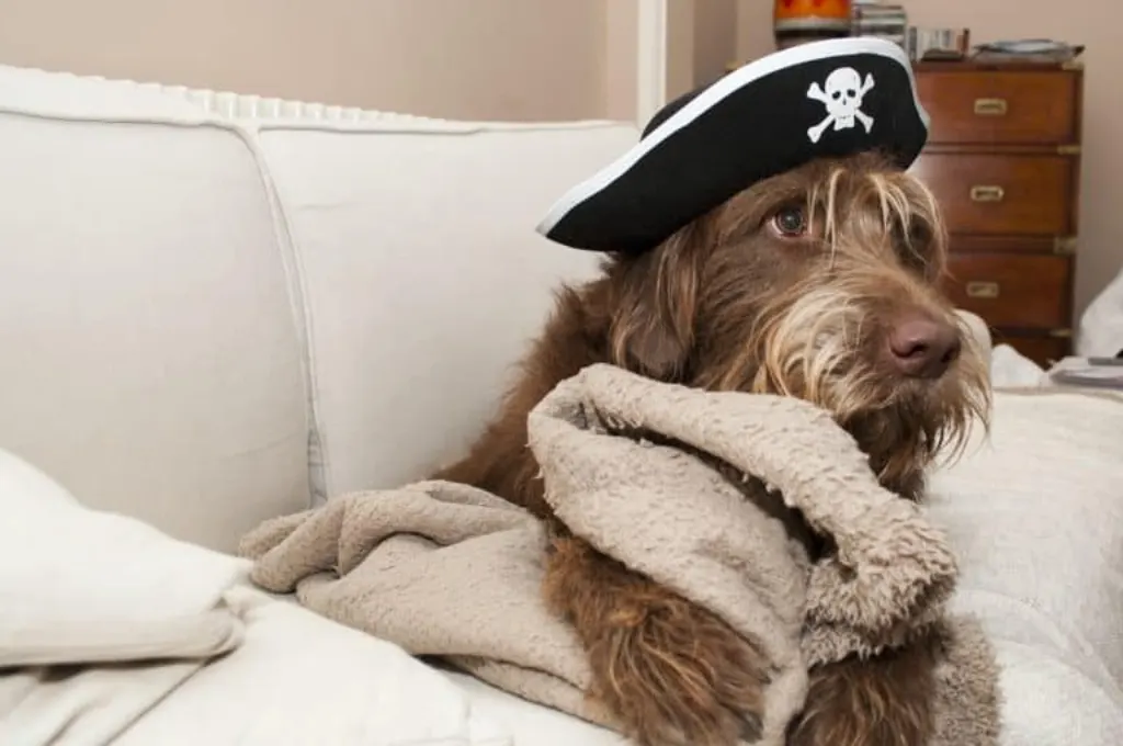 pirates