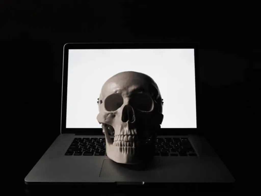 sites pirates