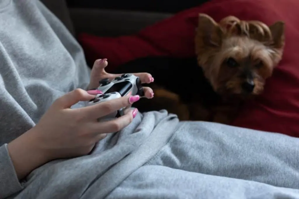 societes jeux