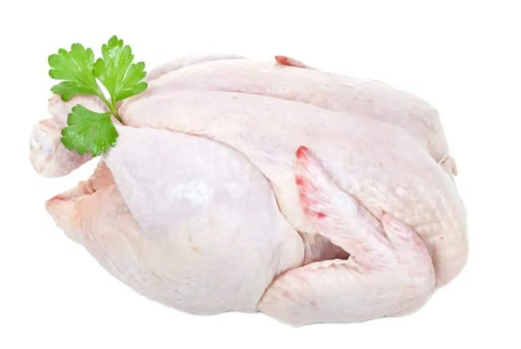chair poule