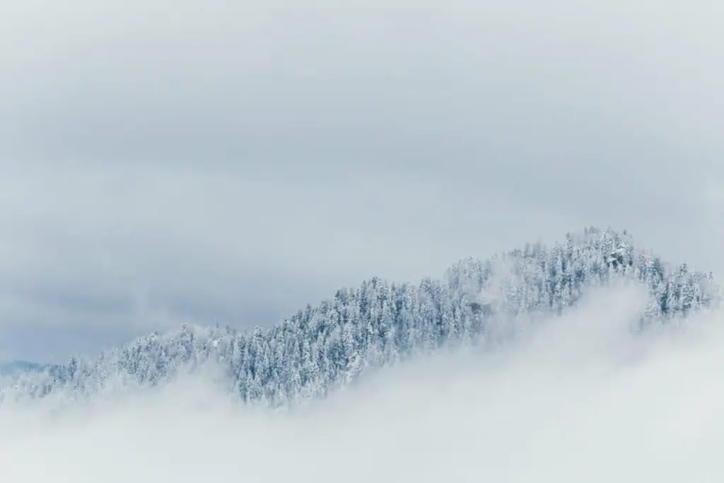 the winter