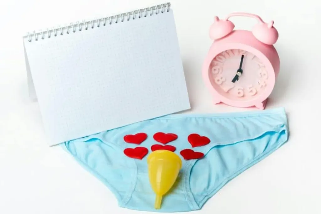 Culotte menstruelle en coton