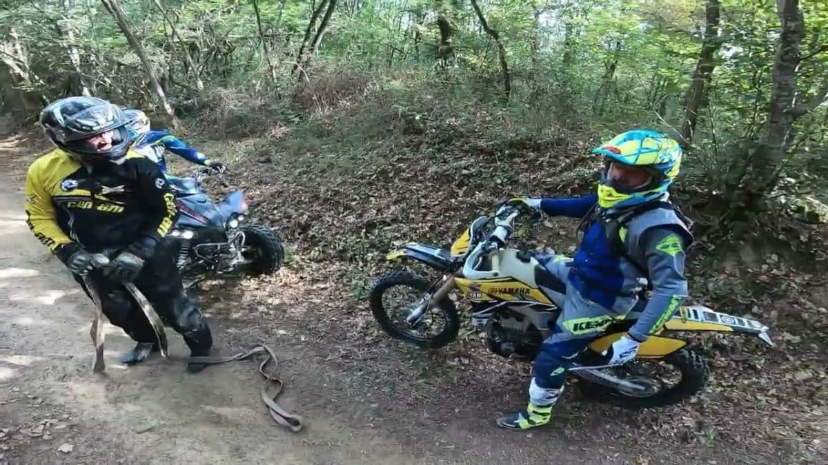 whattomine Agosto 2022