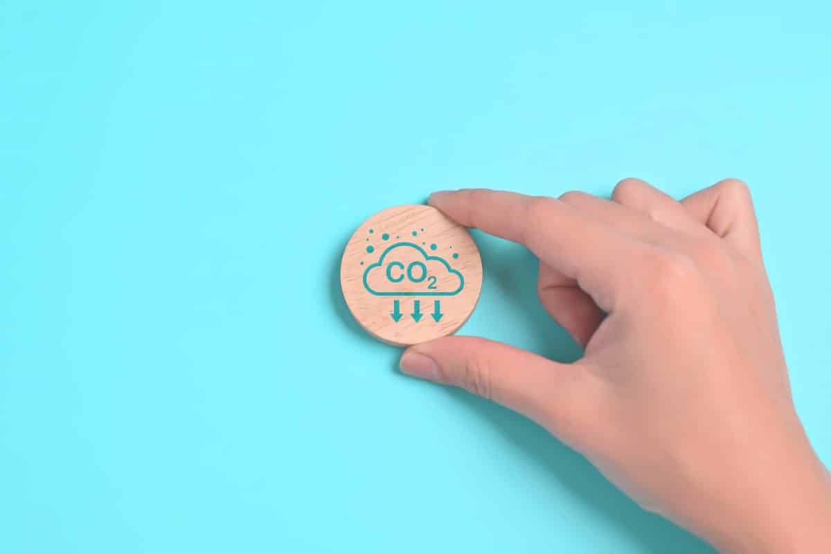 Kohlenstoffgutschriften