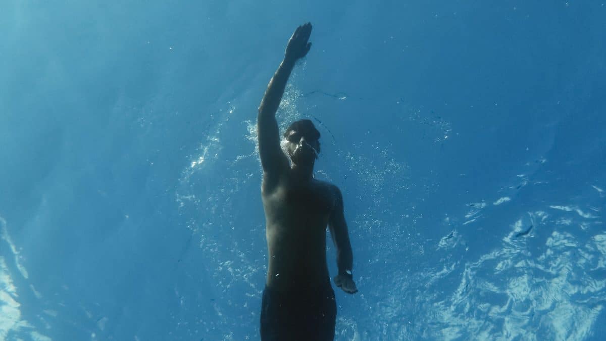 fin freestyle