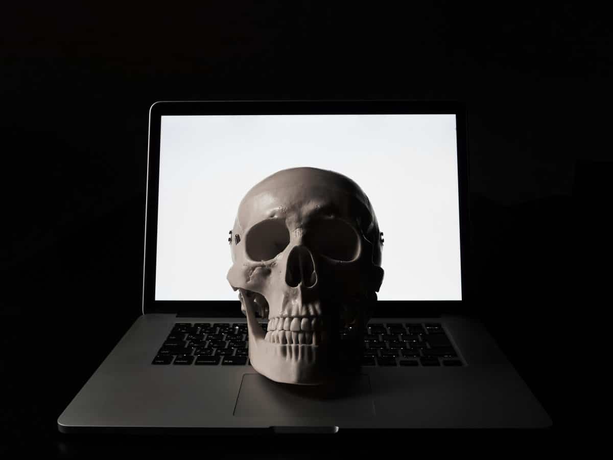 sites pirates
