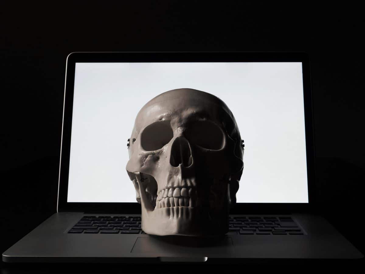 sites pirates