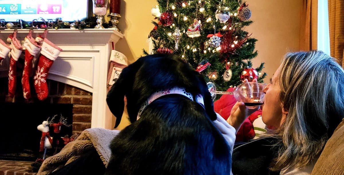 webtoon entertainment