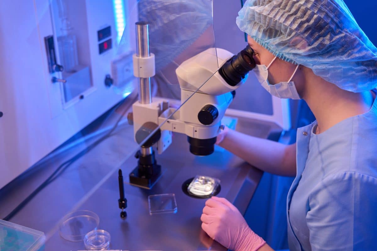 experience recherche