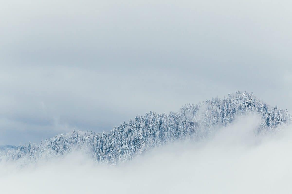 the winter